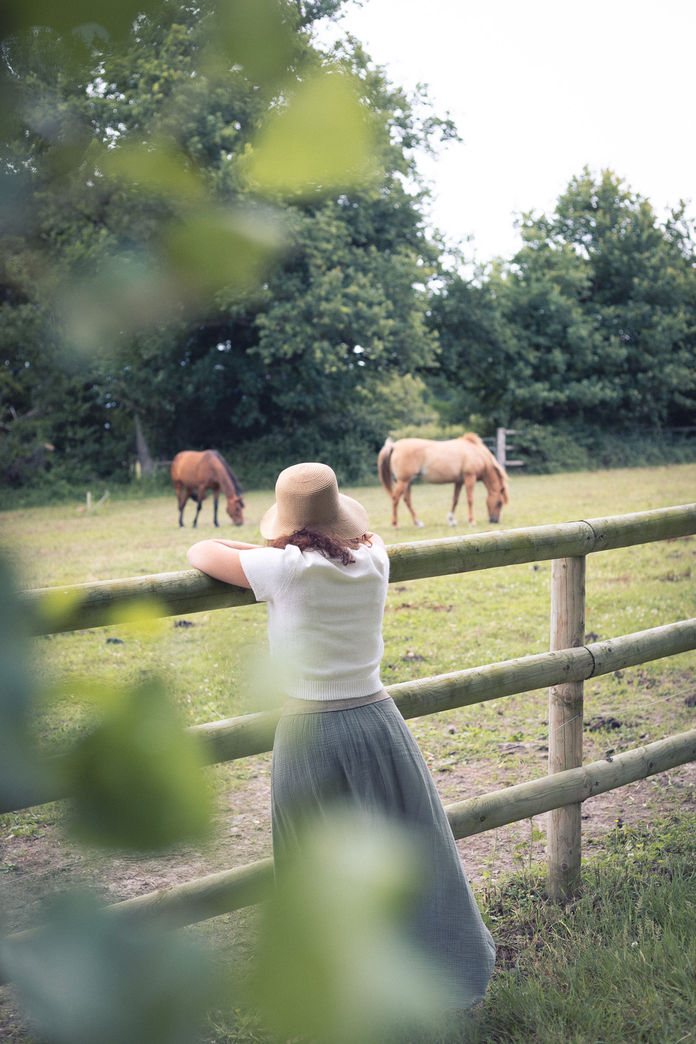 Chambre dhôtes avec vue sur un pré et des chevaux paisibles.