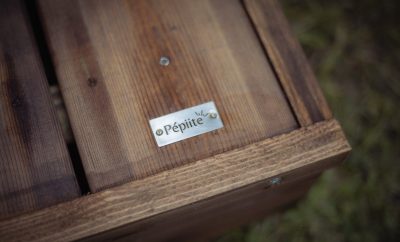 Pépiite Bocage Normand