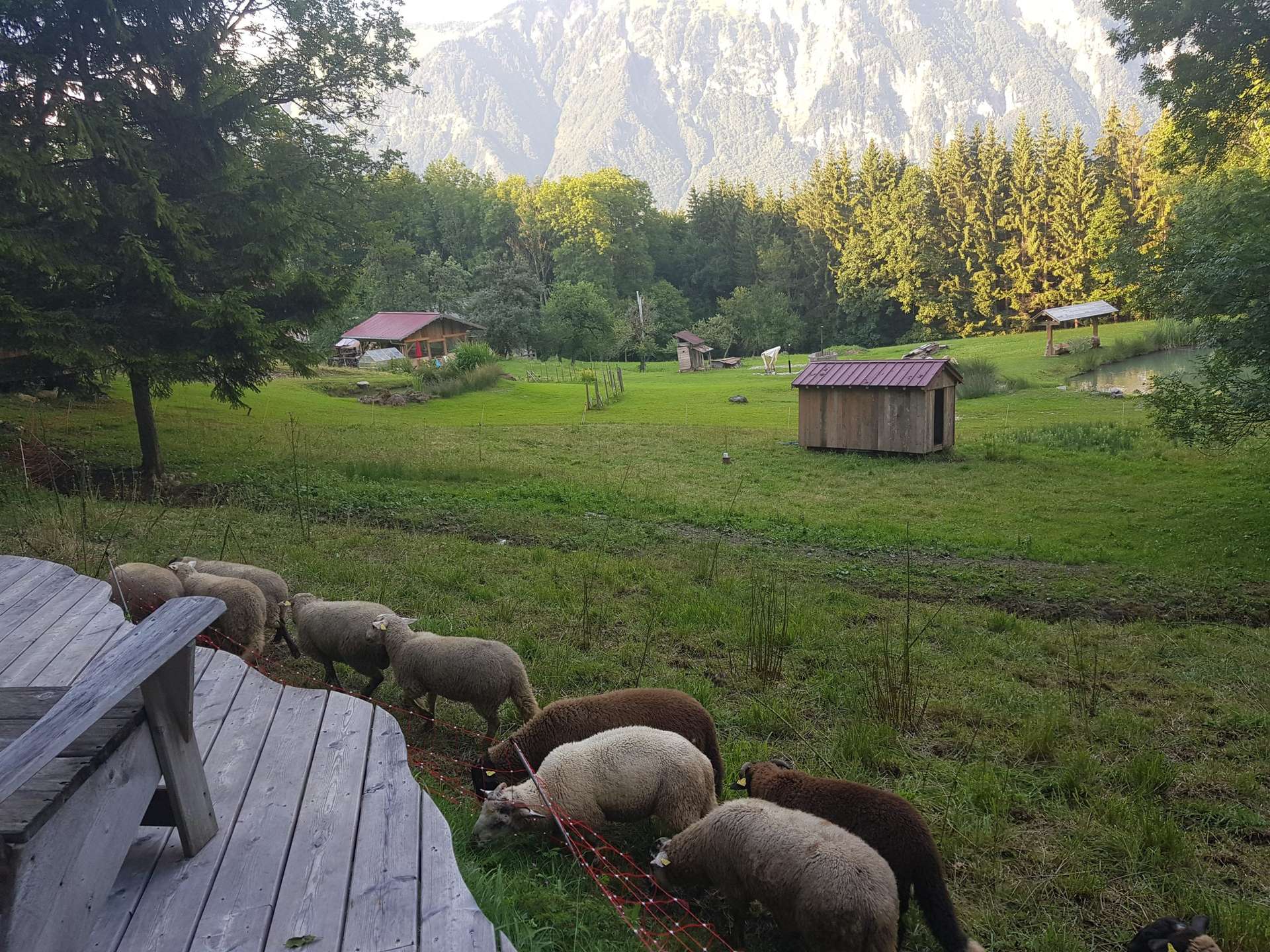 Chalet en pleine nature, avec des moutons paissant devant des montagnes majestueuses.