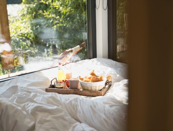 Chalet cosy avec petit-déjeuner sur un plateau, vue sur la nature verdoyante.