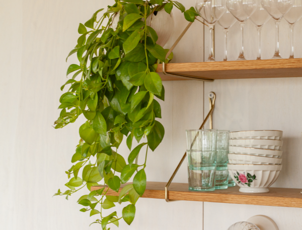 Capture d’écran 2024-12-27 123012