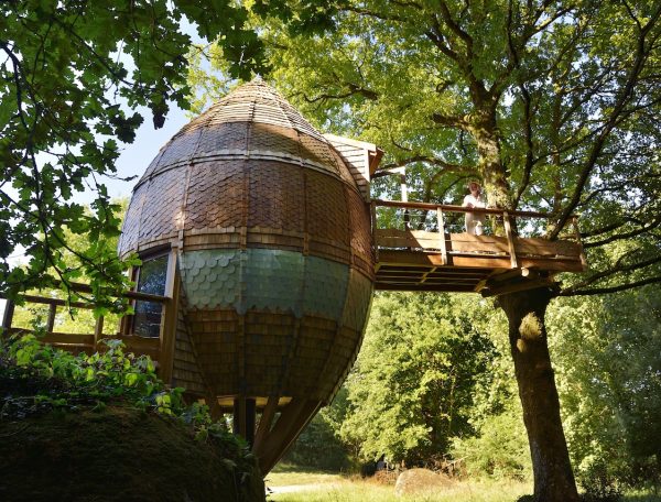 Cabane dans les arbres en bois, perchée sur un arbre, entourée de verdure.