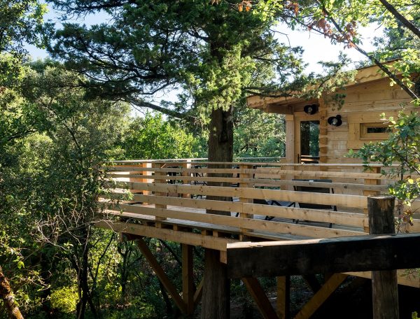 Cabane dans les arbres avec terrasse en bois, entourée de verdure luxuriante.