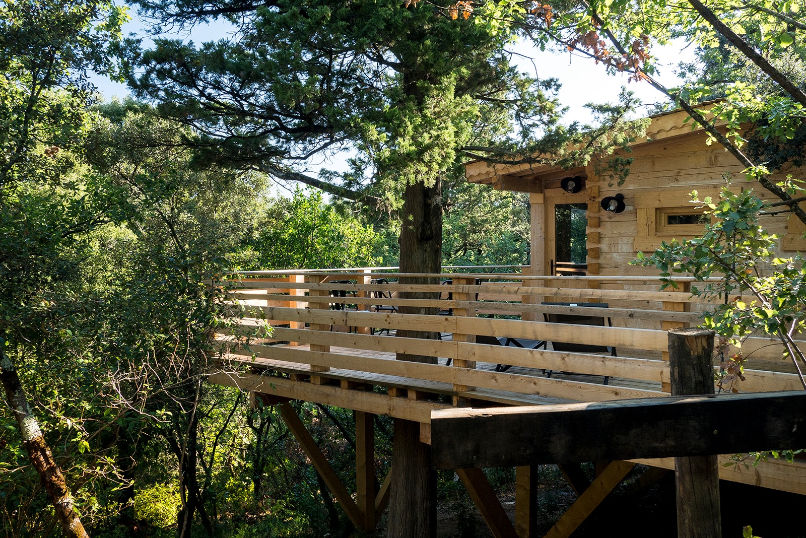 Cabane dans les arbres avec terrasse en bois, entourée de verdure luxuriante.