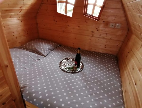 IMG_20221105_140414-scaled