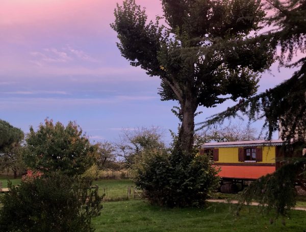 Chalet coloré au coucher du soleil, entouré darbres et de verdure luxuriante.