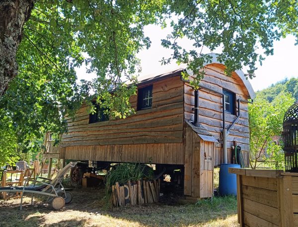 Cabane en bois surélevée, entourée darbres verdoyants et dun jardin accueillant.