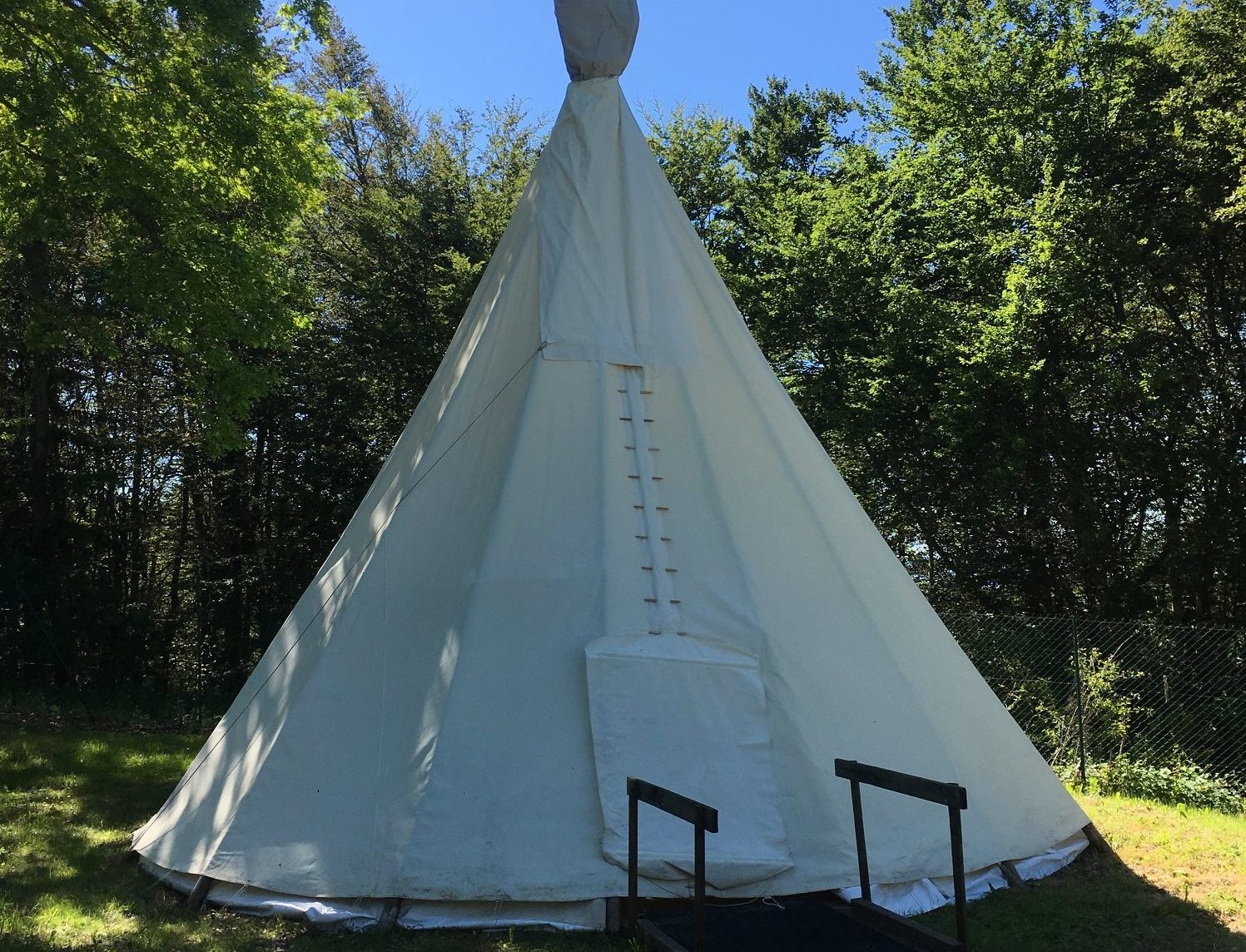 Tente tipi spacieuse, entourée darbres verdoyants sous un ciel bleu.
