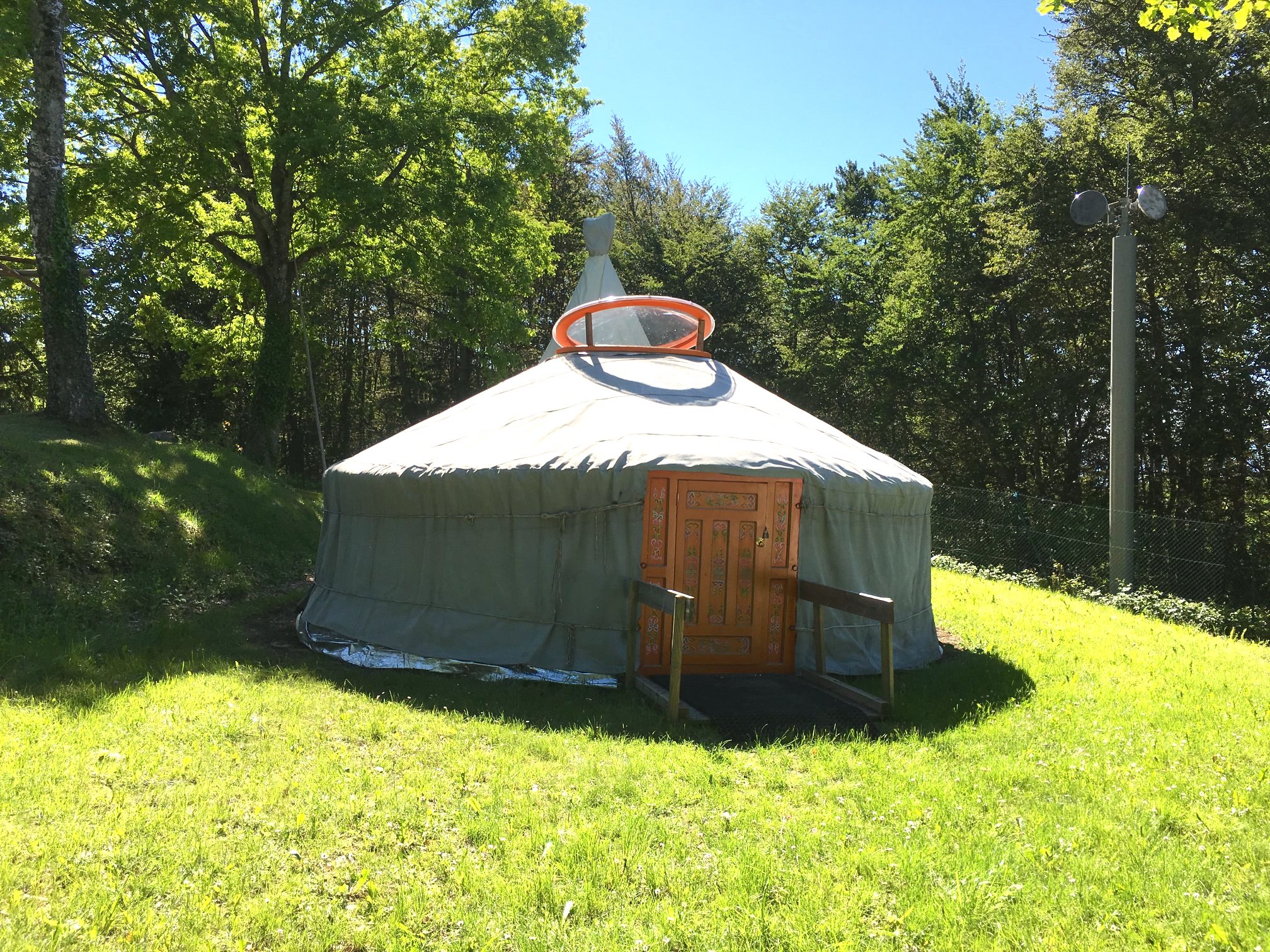 Yourte spacieuse au milieu de la nature, entourée darbres verdoyants.