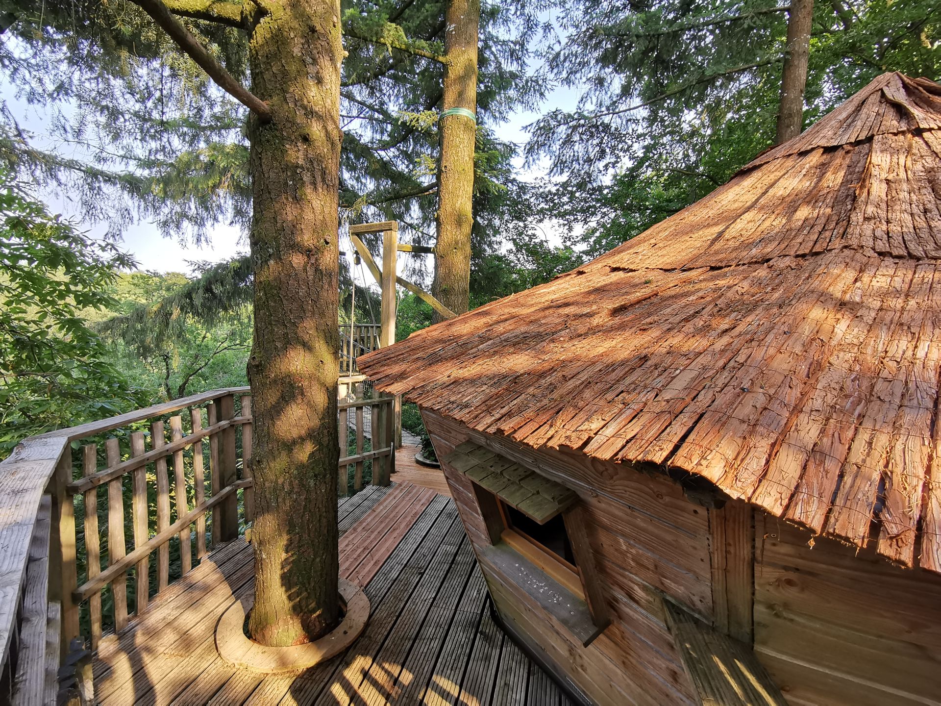 dormir-dans-les-arbres-bretagne Cabane perchée dans les arbres, toit en chaume, entourée de verdure et de calme.