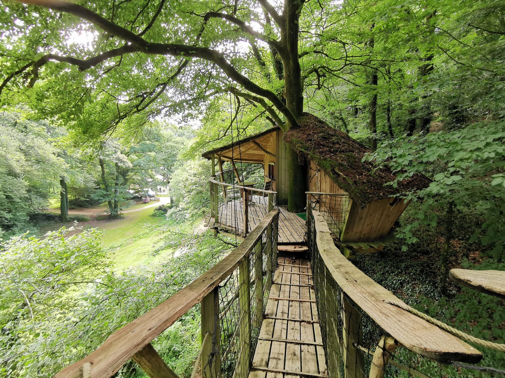 escapade-romantique-morbihan Cabane dans les arbres, perchée au milieu d'une forêt verdoyante, accessible par un pont en bois.