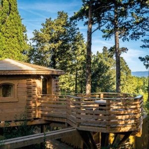 Cabane en bois perchée, entourée darbres, avec terrasse ensoleillée.