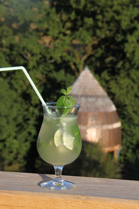 Cocktail rafraîchissant sur le balcon dun hébergement en pleine nature.