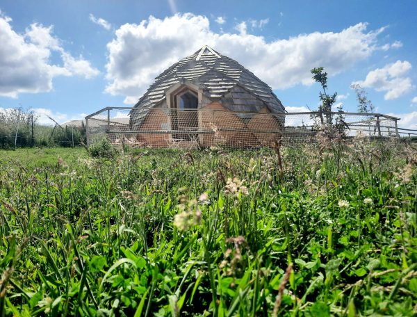 20220611_160124-1-scaled