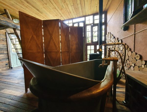 20231010_175452-scaled