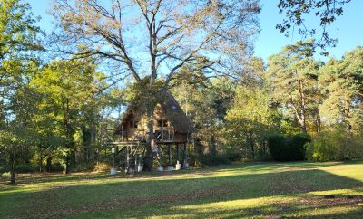 Cabane Pilotis Victorienne