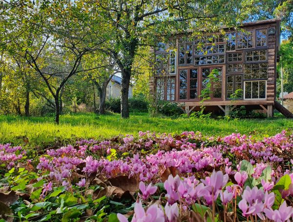 IMG_20231022_194938_719-scaled