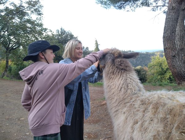 IMG_20241025_095019-scaled